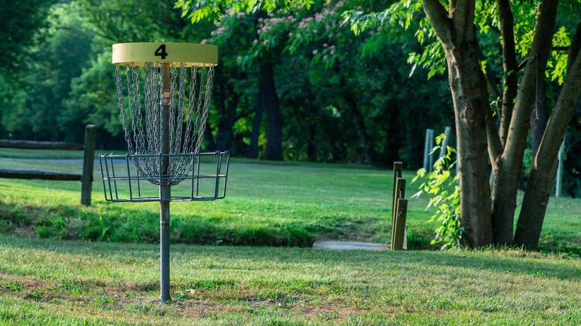 How to Design and Build Your Own Backyard Disc Golf Course