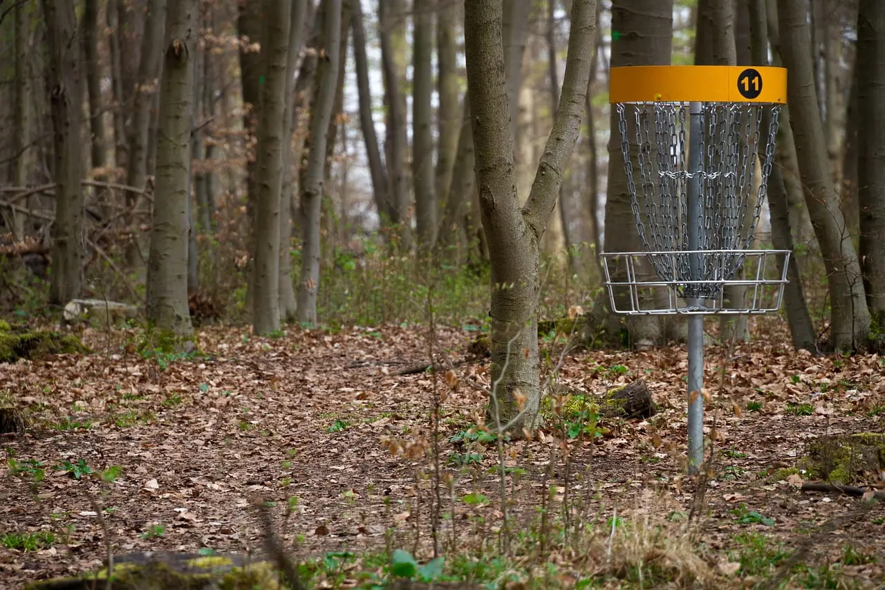 Disc golf basket on wooded course