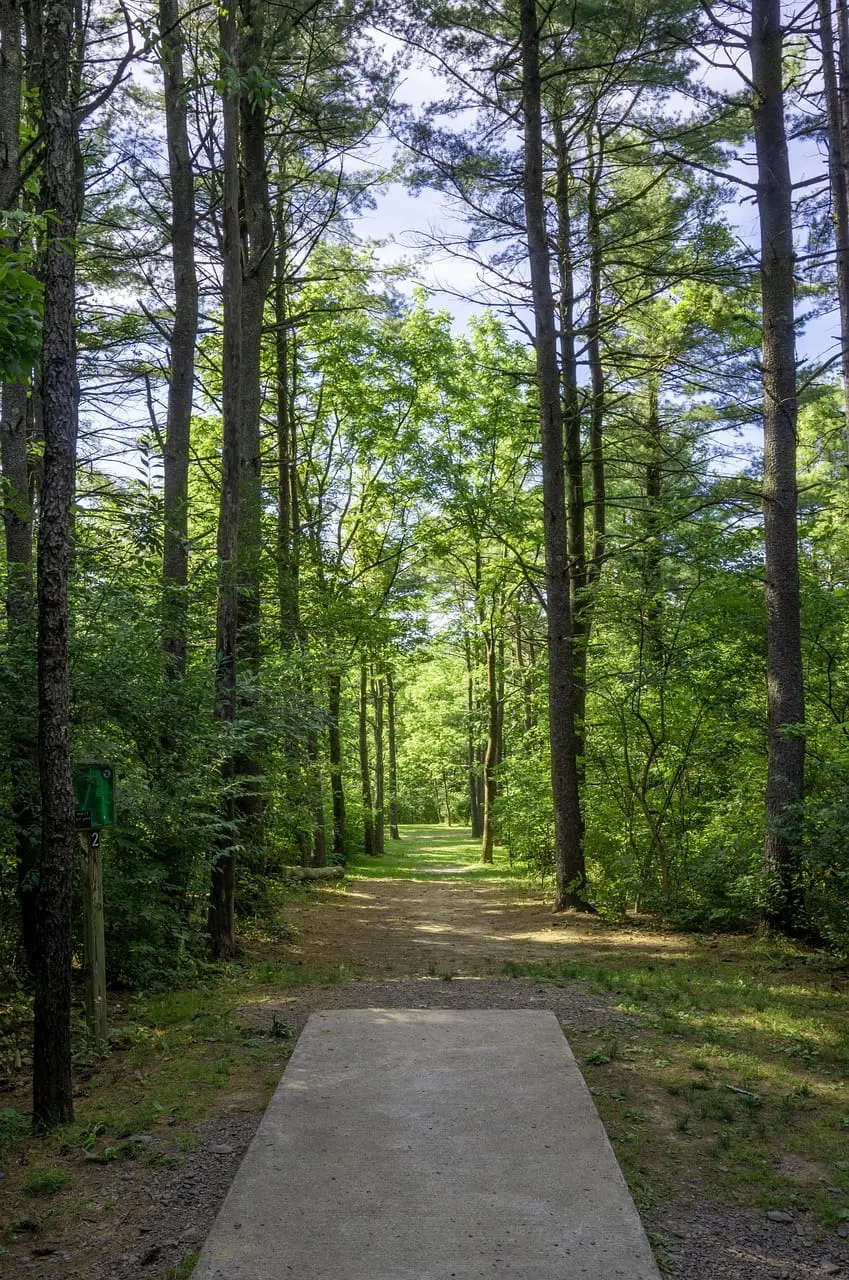 Navigating Your First Disc Golf Course: A Beginner's Guide