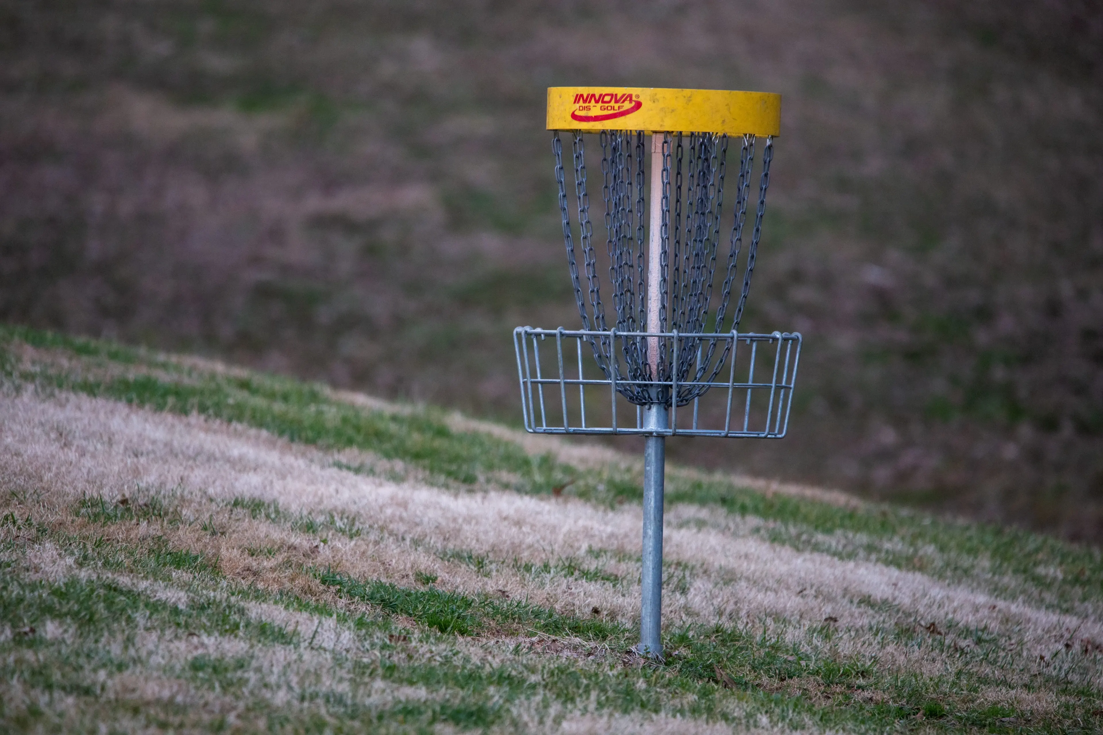 Disc golf basket on hill